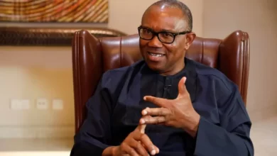 I’ll Turn Nigeria From Consumption To Production Country – Peter Obi