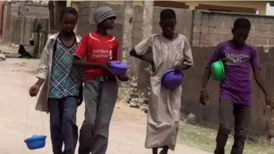 Kano Gov’t Reunites 805 Street Beggars With Families
