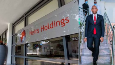 Chiugo Ndubisi, Victor Osadolor Appointed As Heirs Holdings Board Members