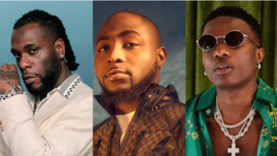 I Would’ve Punched Wizkid’s Face To Make His Fans Release I’m Not Davido – Burna Boy