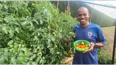 Coach Sunday Oliseh Becomes Farmer, Just 1 Month After Resigning From German Club SV Straelen