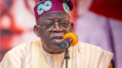 Tinubu Reaches Out to Davido After Son's Death