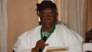 Have We Thrown Out Integrity To The Dogs – Bode George Fumes, Blasts PDP Leadership