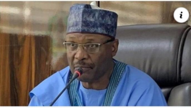 HACKERS TRIED TO CHANGE OSUN GUBER ELECTION RESULT - INEC