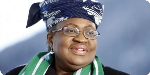 Iwuanyanwu, Okonjo-Iweala, Elumelu, 54 Others Mobilise For Devt Of Igboland