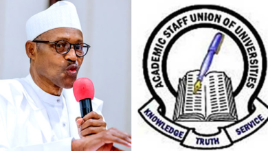 Strike: Obey Court Ruling; Go Back to Classrooms, FG tells ASUU