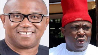 2023: Peter Obi doesn’t need Campaign Council to win – Umeh