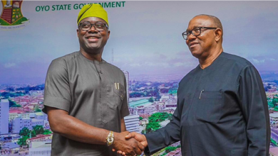 2023: Why Peter Obi Visits Seyi Makinde For ‘Consultations’