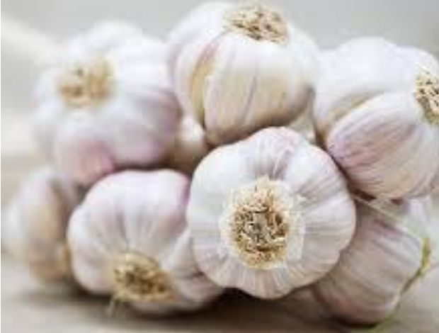 2 Major Health Benefits Of Garlic To The Human Body
