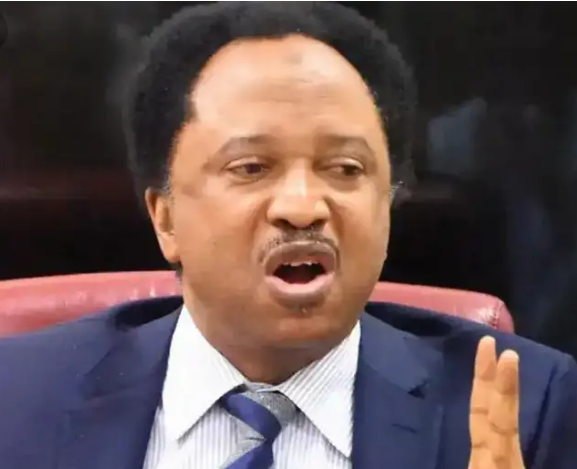 Kogi Flood: The Ruling Party And Others Will Be In Lokoja For Campaign Soon – Shehu Sani