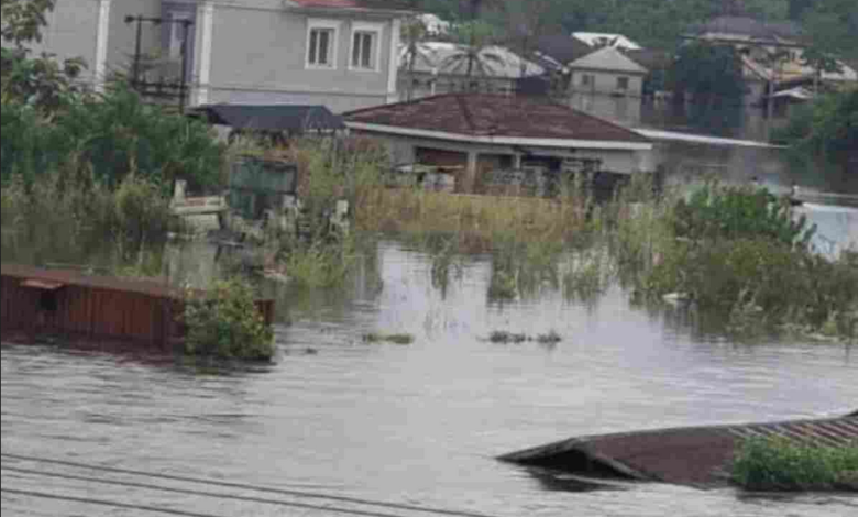 Flood takes over former president Jonathan’s home