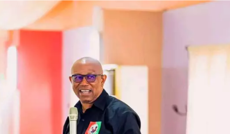 The Silent Majority in Nigeria May Help Peter Obi Win The Election