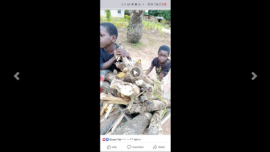 Man Approaches Kids Hawking Firewood, Buys Everything & Gives Them Scholarship
