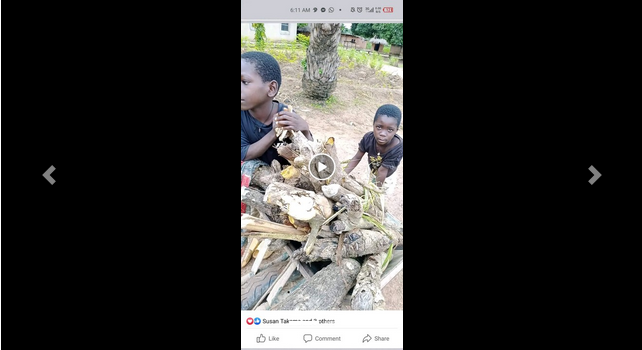 Man Approaches Kids Hawking Firewood, Buys Everything & Gives Them Scholarship