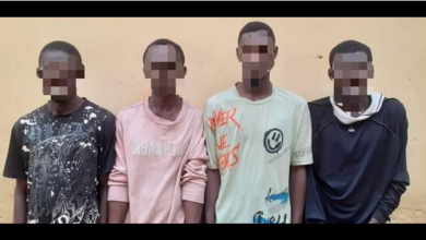Police Arrest Gang Notorious For Stealing And Dismantling Cars To Sell Its Parts